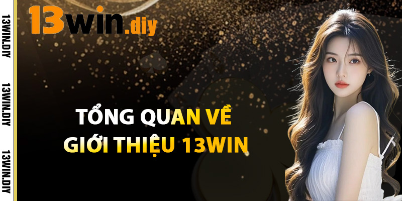 Tổng Quan Về giới Thiệu 13win